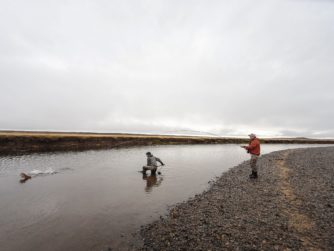 Fish are generally easy to reach